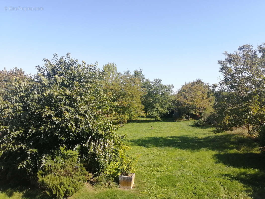 Authentique maison en pierre avec terrain et dépendances à Loubers (81) - photo 3