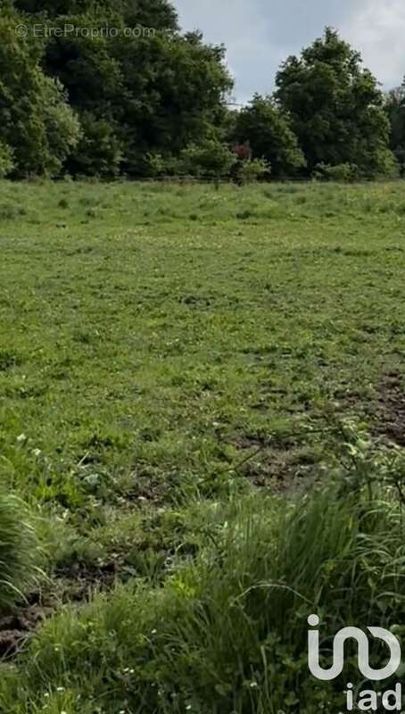 Photo 2 - Terrain à AMBARES-ET-LAGRAVE