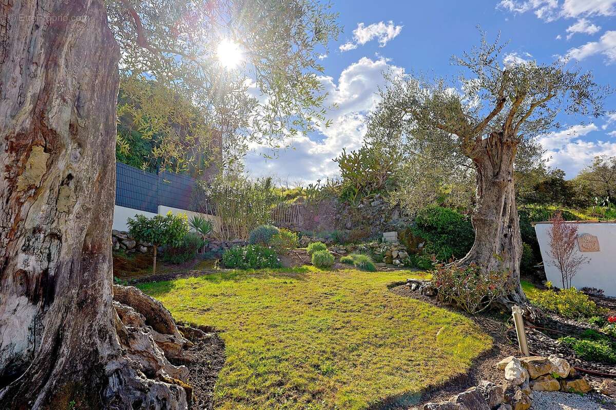 Appartement à VILLENEUVE-LOUBET