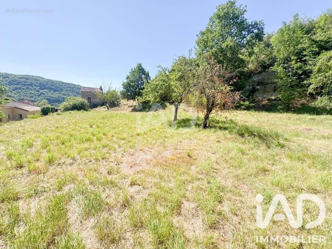 Terrain 12143 m² à Saint-Affrique  - photo 6