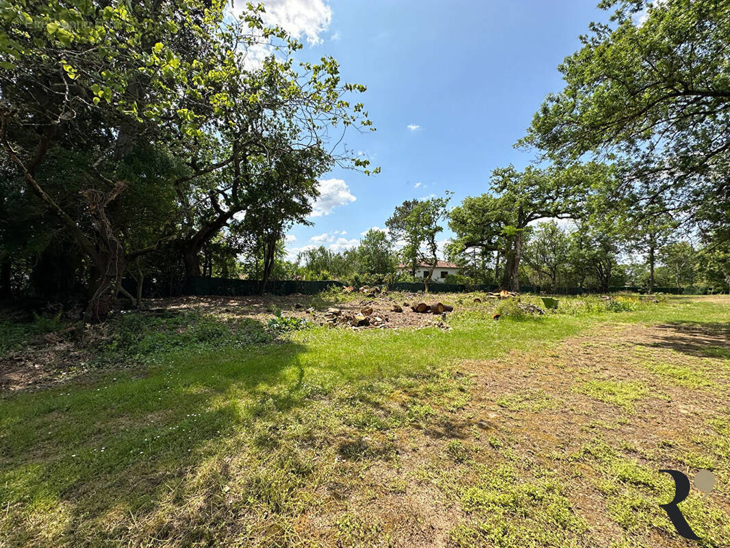 Terrain à AIGREFEUILLE