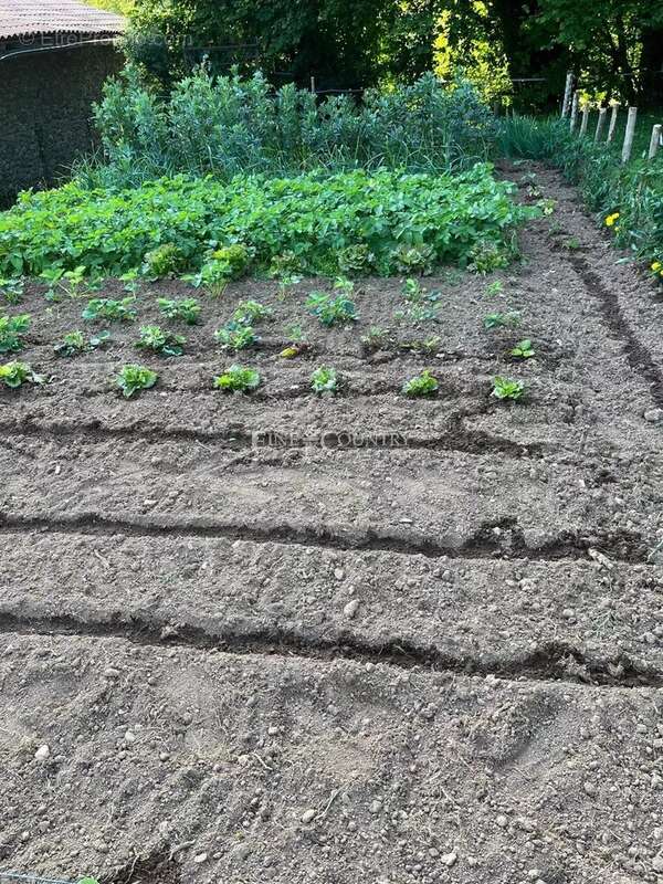 Maison à MAZEROLLES