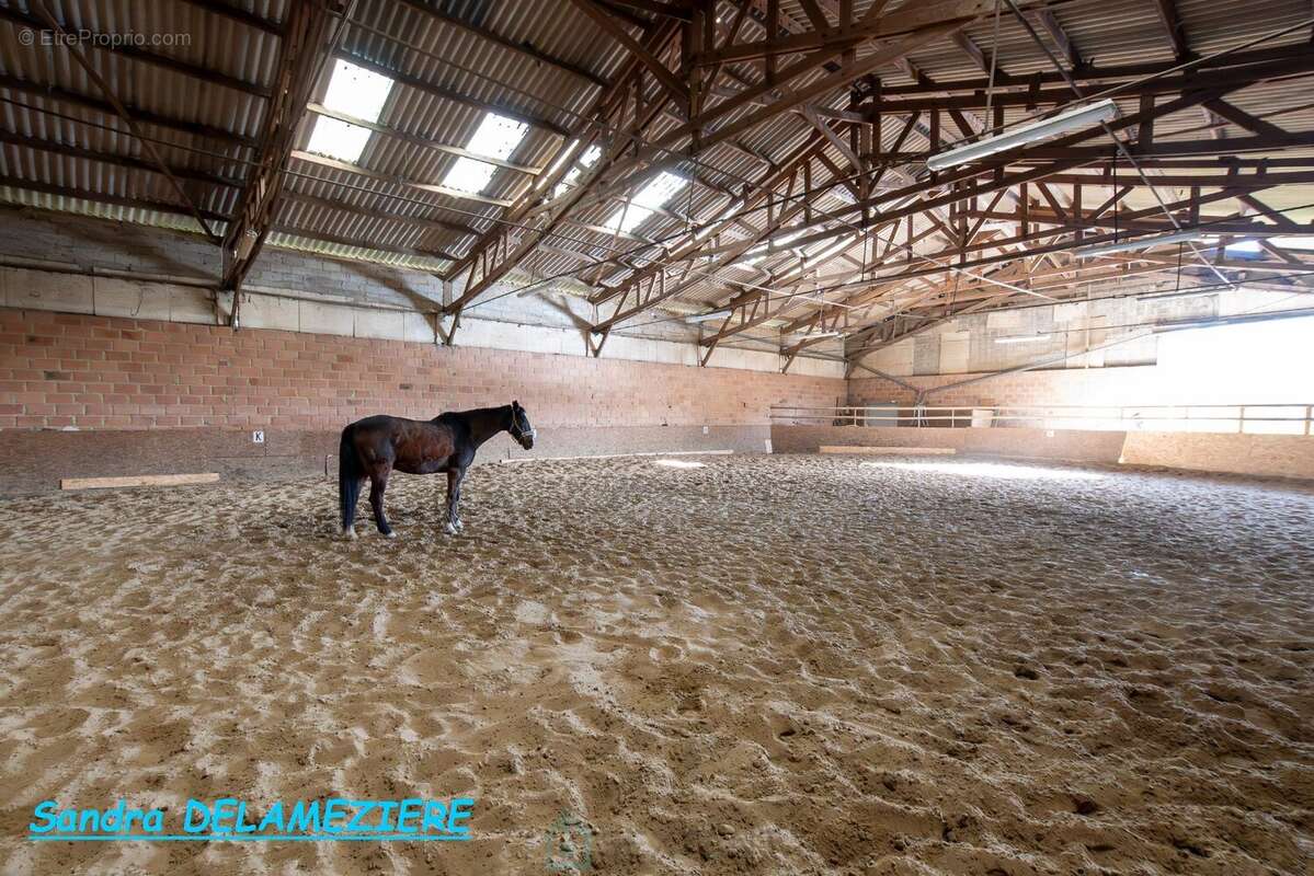 Propriété de caractère - photo 5