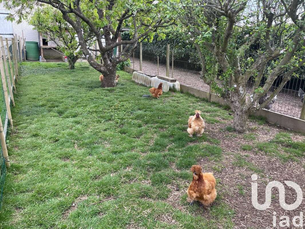 Photo 3 - Maison à MONTMIRAIL