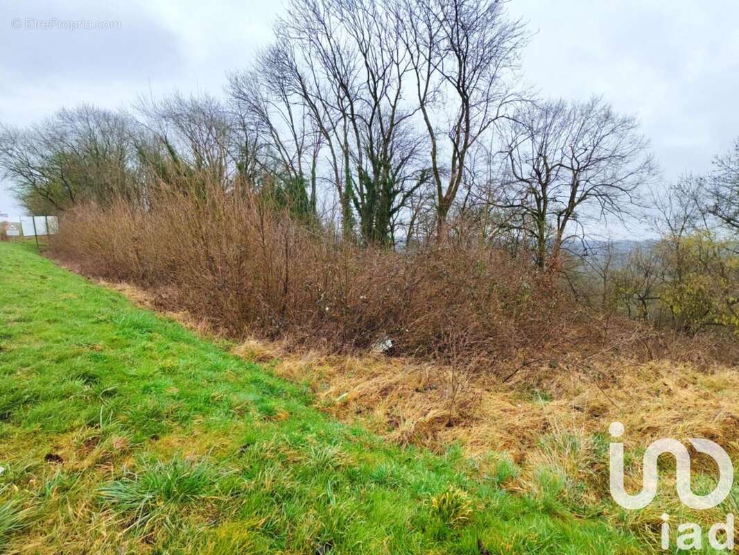 Photo 3 - Terrain à LONGUYON