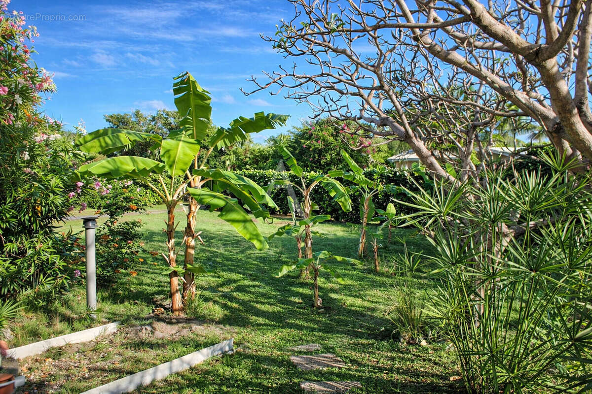 Maison à LE VAUCLIN
