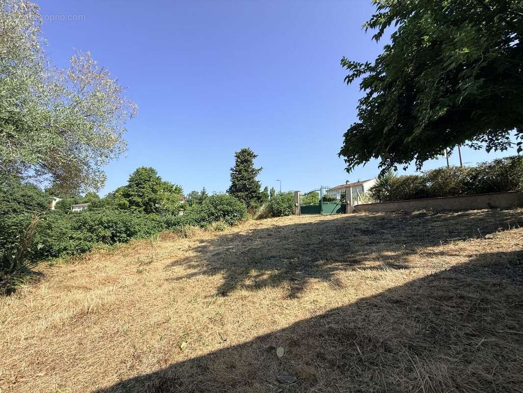 Terrain à bâtir de 376 m² à MONS (31) - photo 3