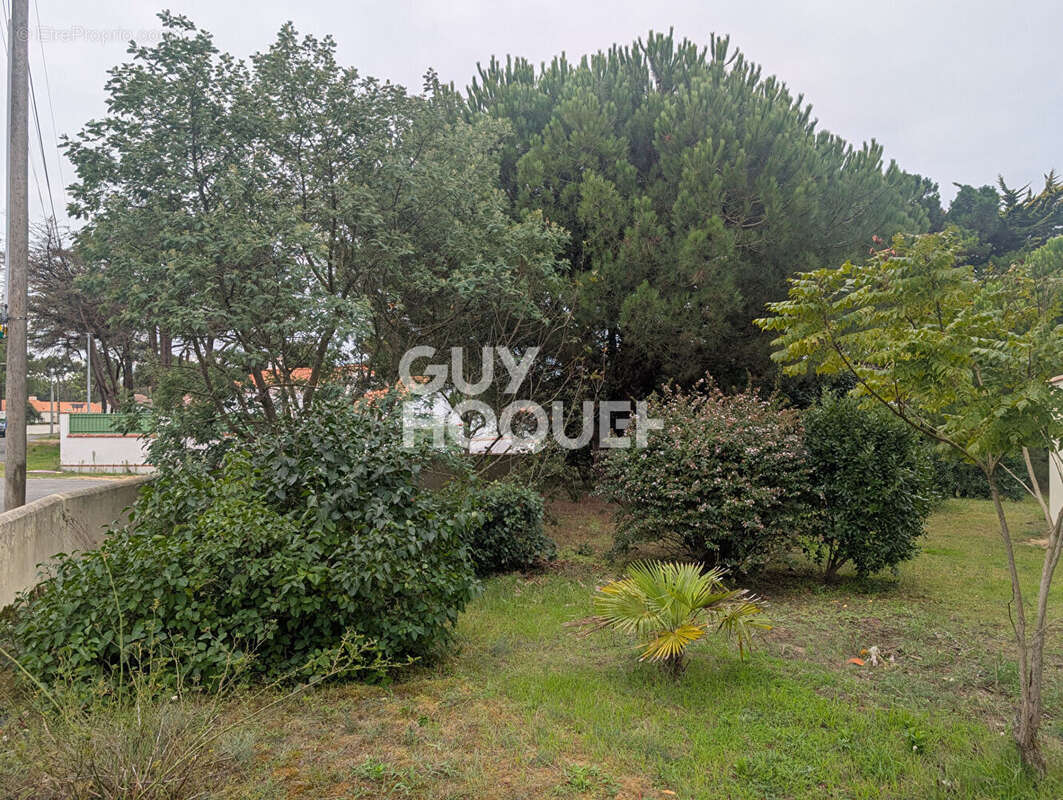 Terrain à SAINT-HILAIRE-DE-RIEZ