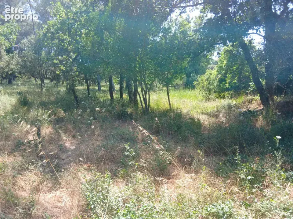 Terrain 705 m² à vendre à Gareoult (83136) - photo 3