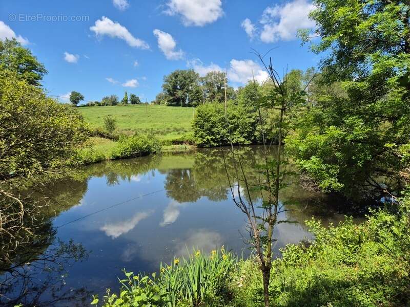 Terrain à PRESSIGNAC