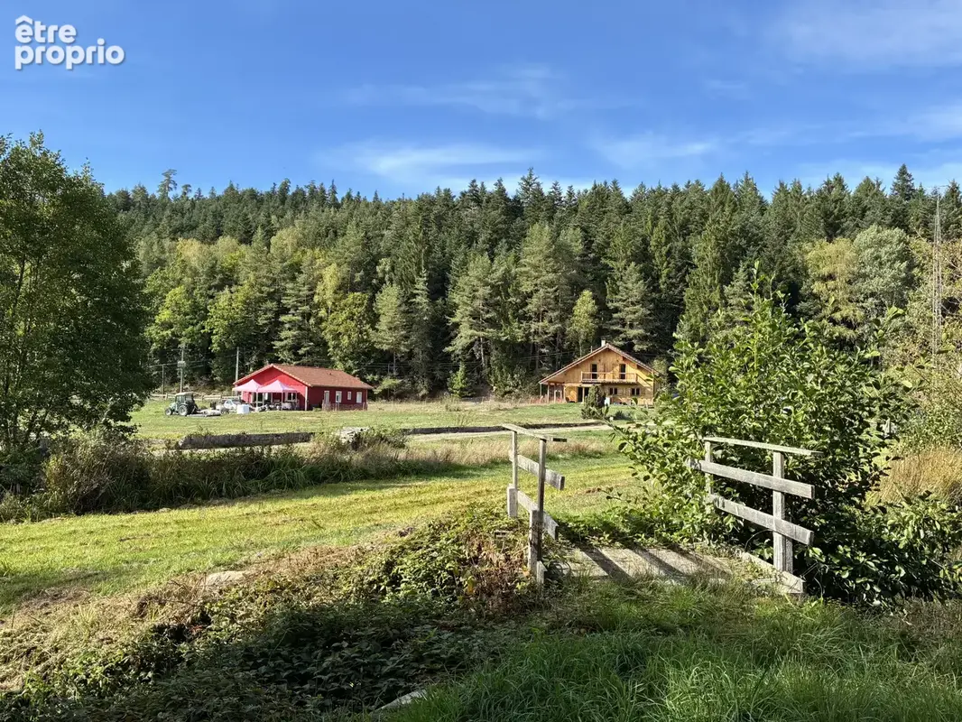 Etangs, Chalets : Domaine de 3 ha avec 3 étangs vidangeables - photo 4