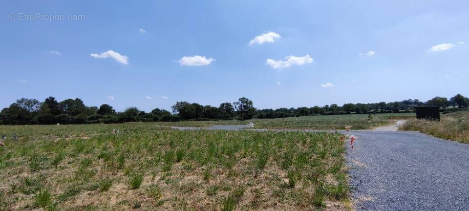 Terrain à JUIGNE-SUR-LOIRE