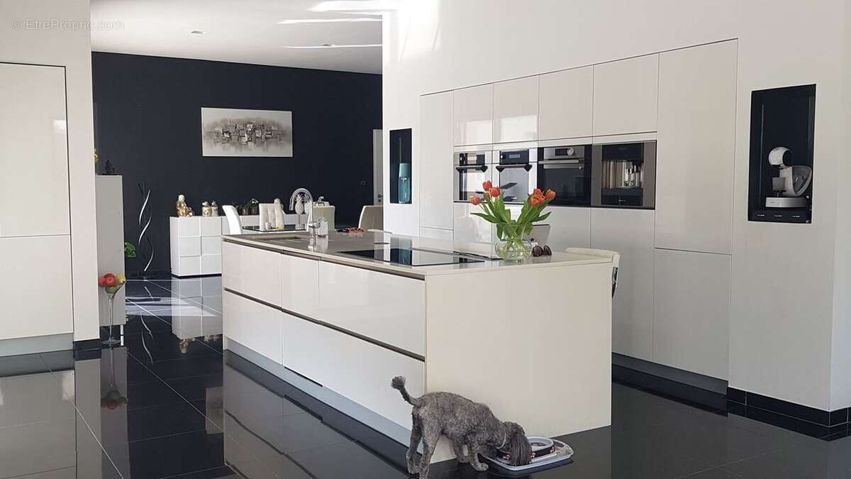 Photo 3 - Maison à ARGELIERS