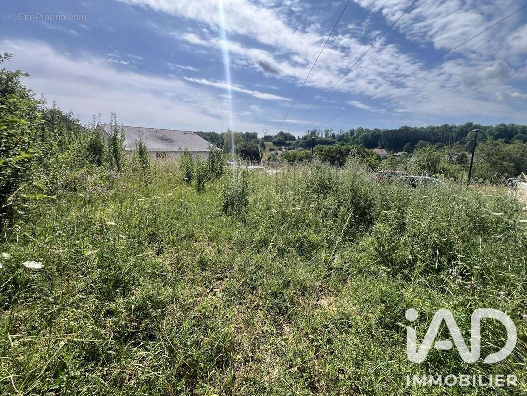 Terrain 454 m² à Aiglemont  - photo 4