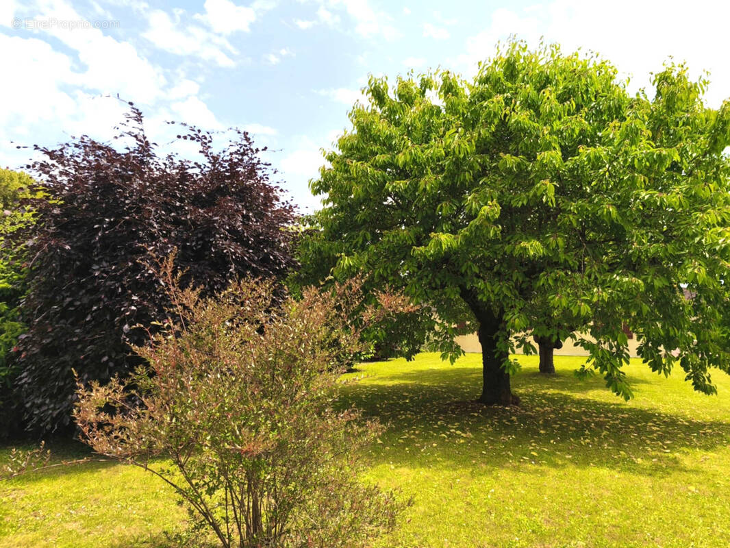 Autre à SAINT-ANDRE-LES-VERGERS