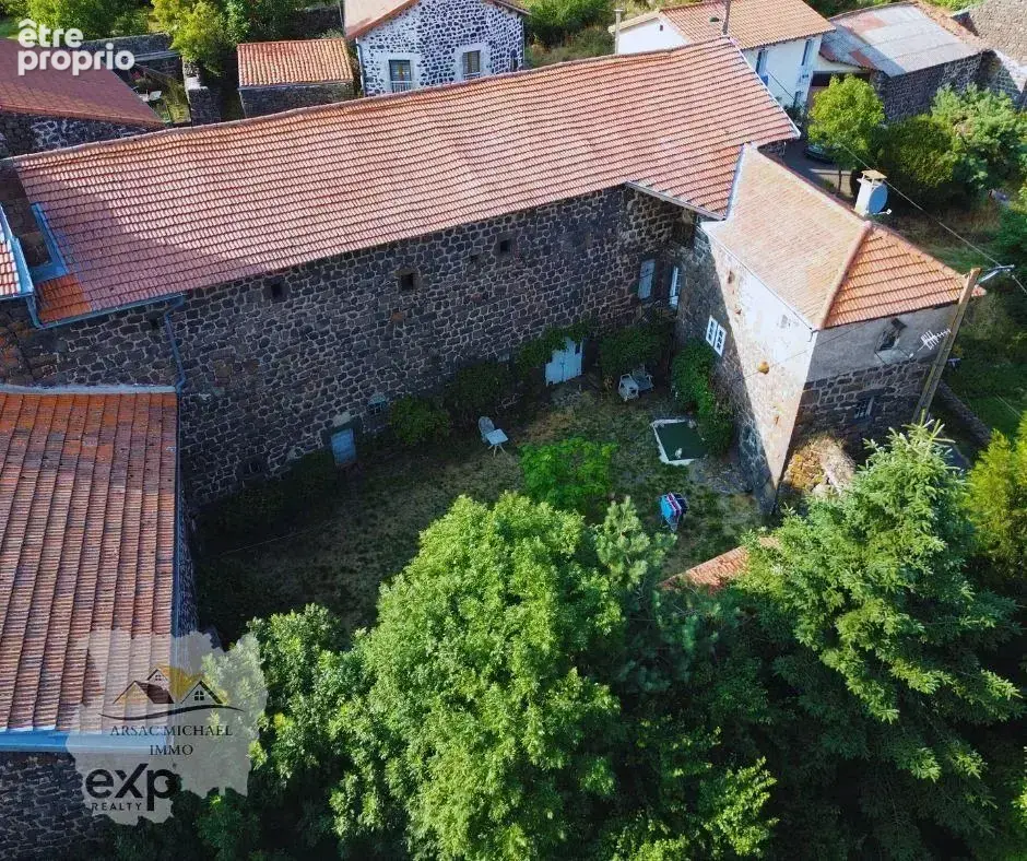 Maison 556 m² à Cayres  - photo 5