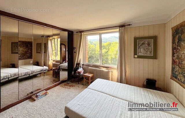 Maison 287 m² à Sainte-Marie-Aux-Mines  - photo 9