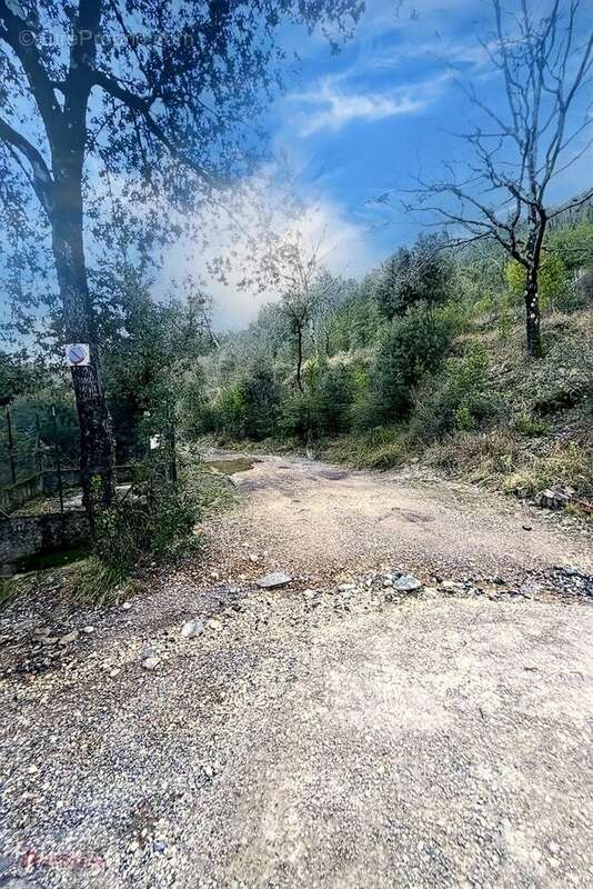 Terrain à SAINT-MARTIN-DE-VALGALGUES