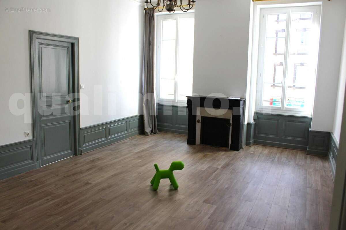 salon 1 - Appartement à CLERMONT-FERRAND