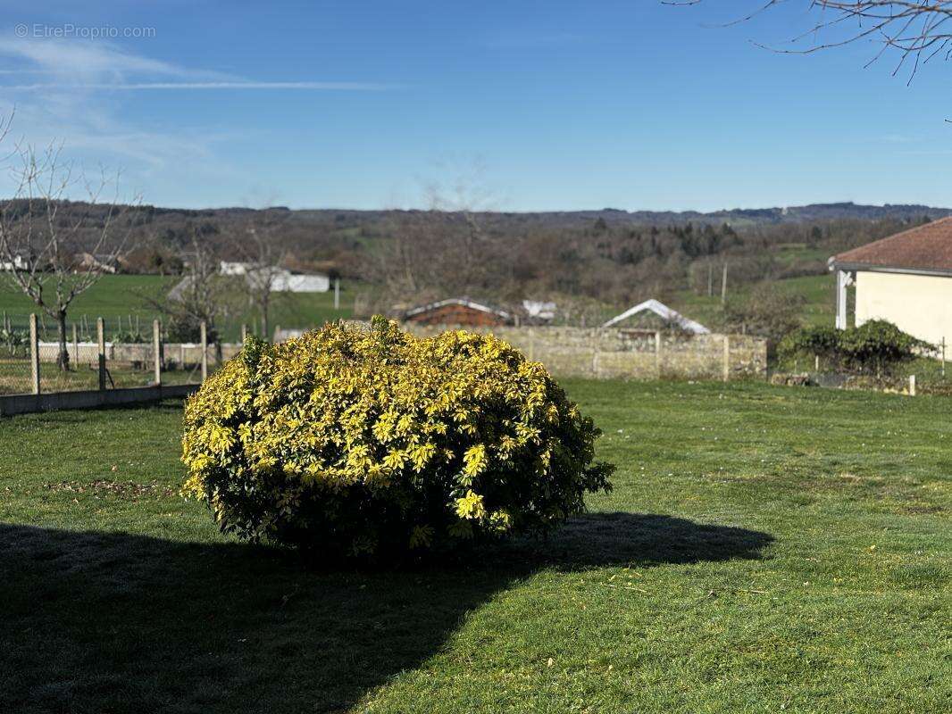 Maison à NEUVIC-ENTIER