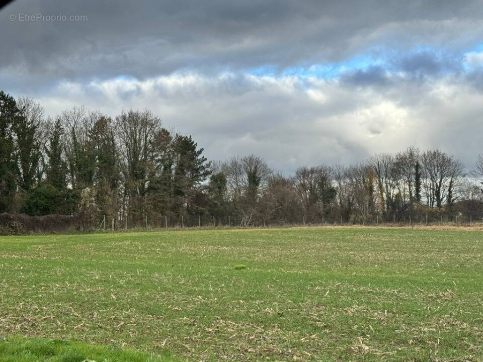 Terrain à VERT-LE-PETIT