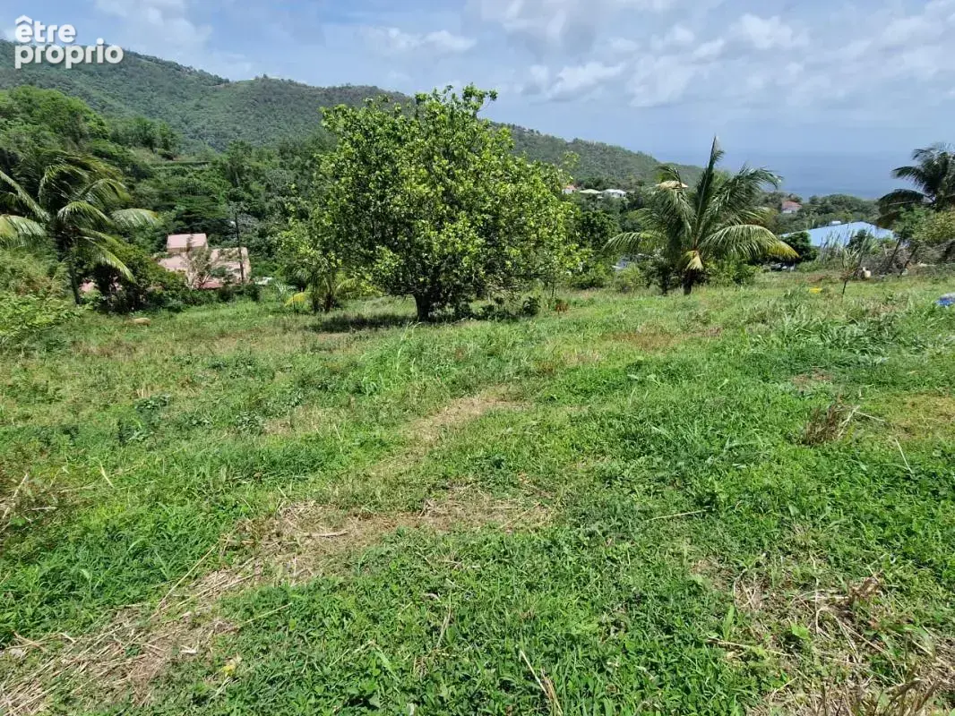 Terrain à LE MORNE-VERT