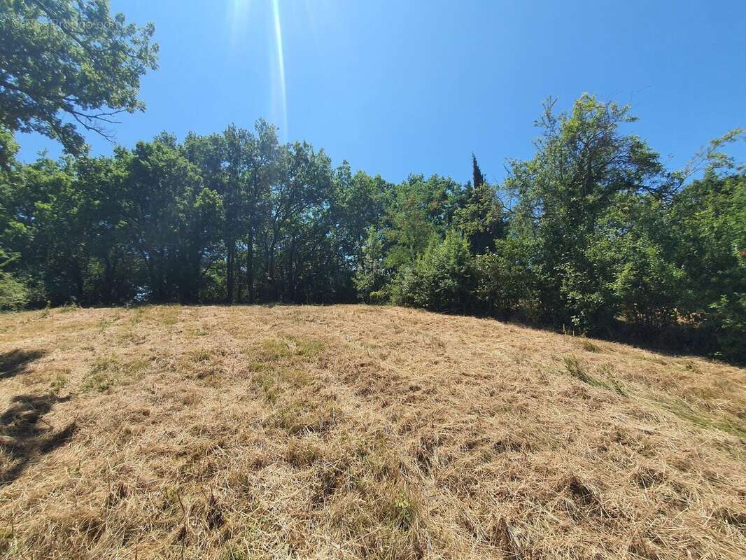 Photo 4 - Terrain à ALBI