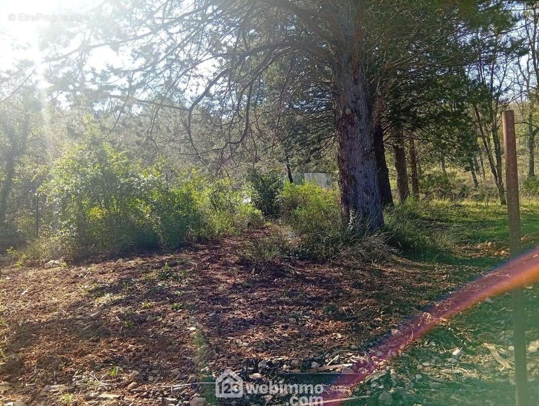 Maison à LE THORONET