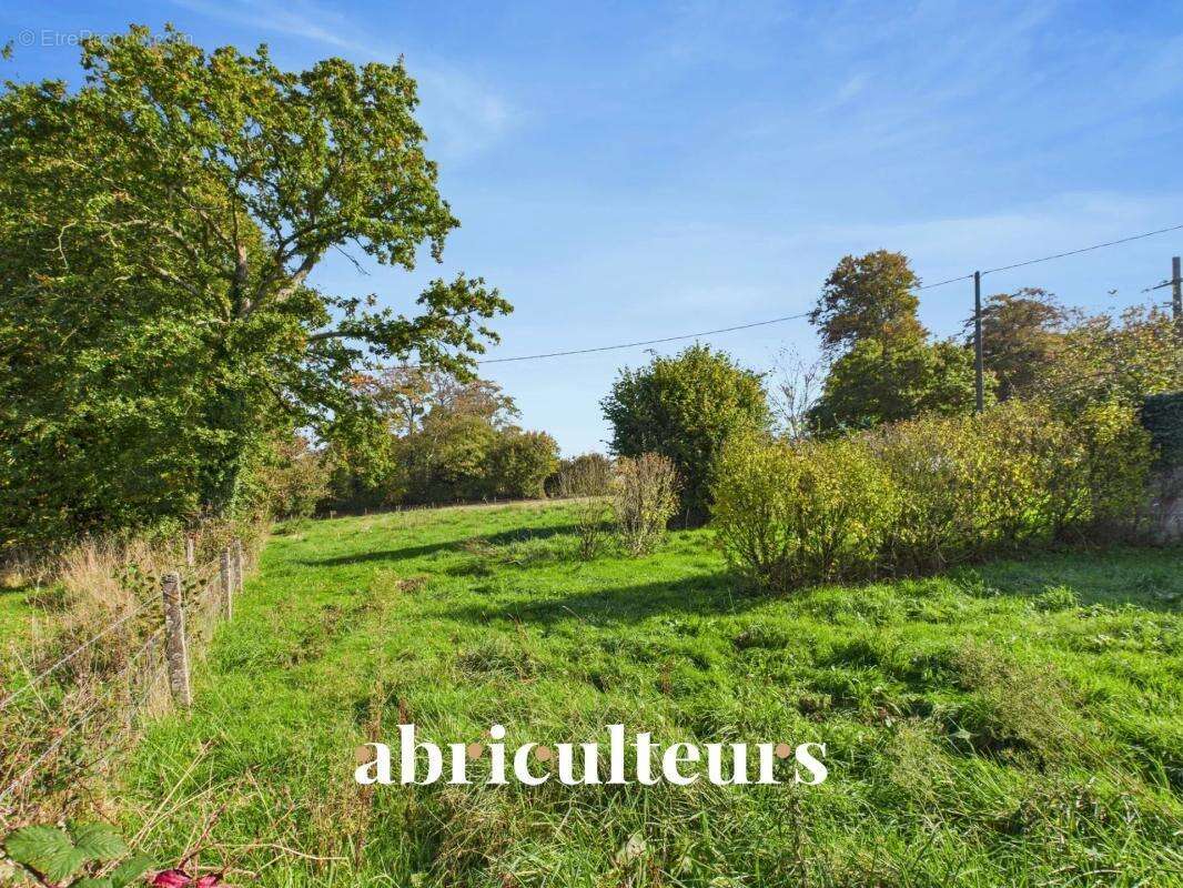 Maison à SAINT-MARTIN-DE-BONFOSSE