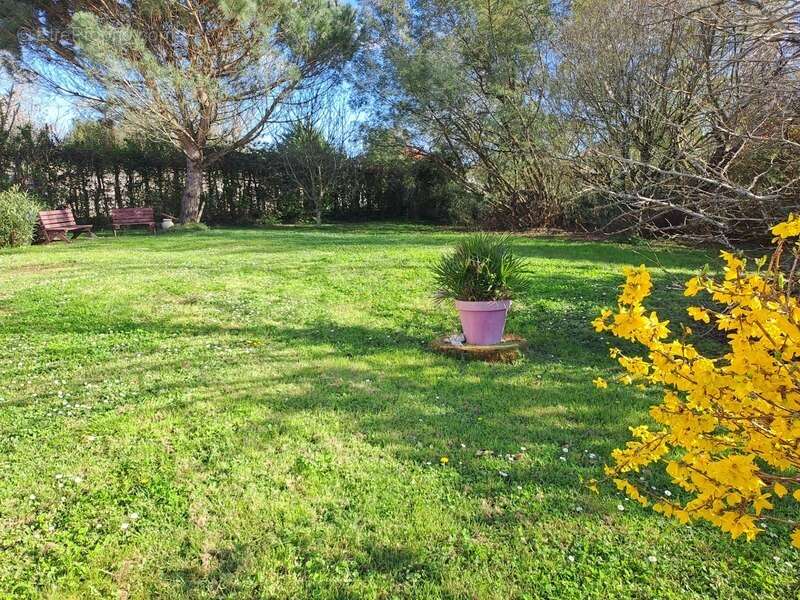 Maison à SAINT-SULPICE-ET-CAMEYRAC