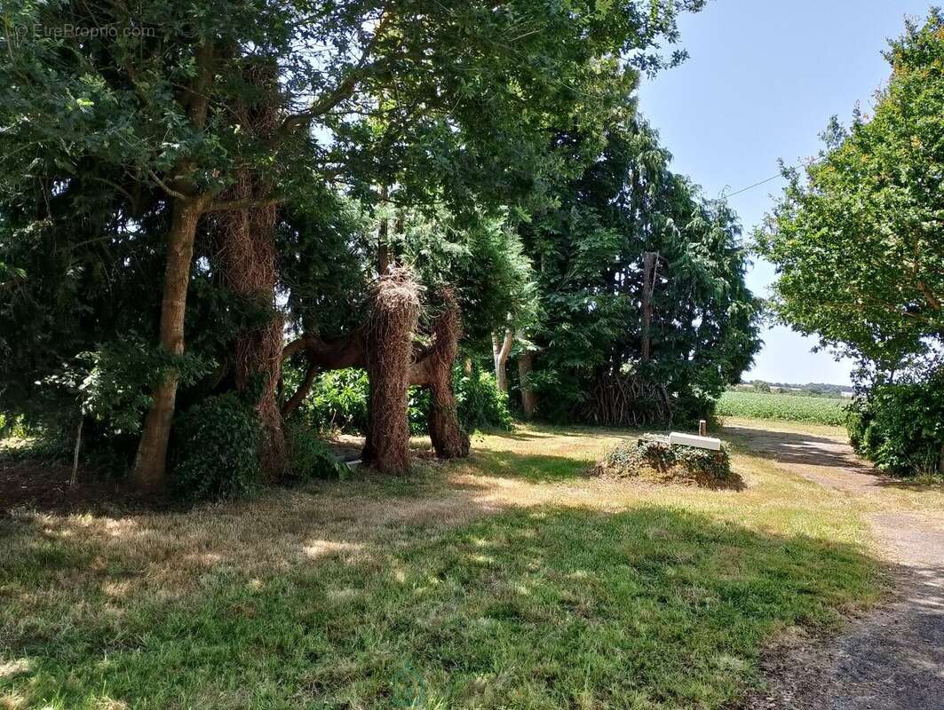 Maison de campagne - photo 13