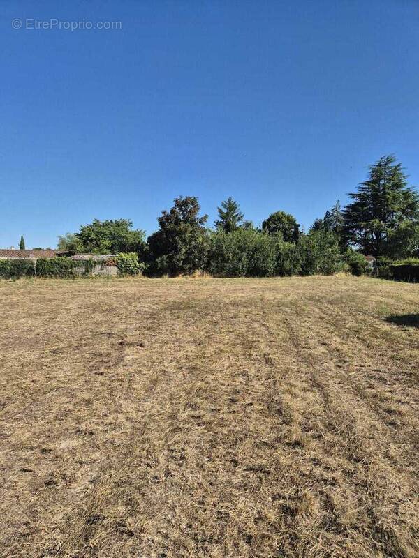 Terrain à VOEUIL-ET-GIGET