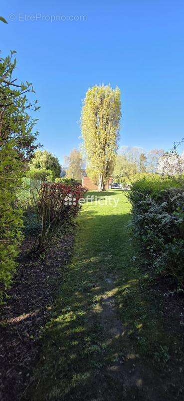 Appartement à RONCHIN