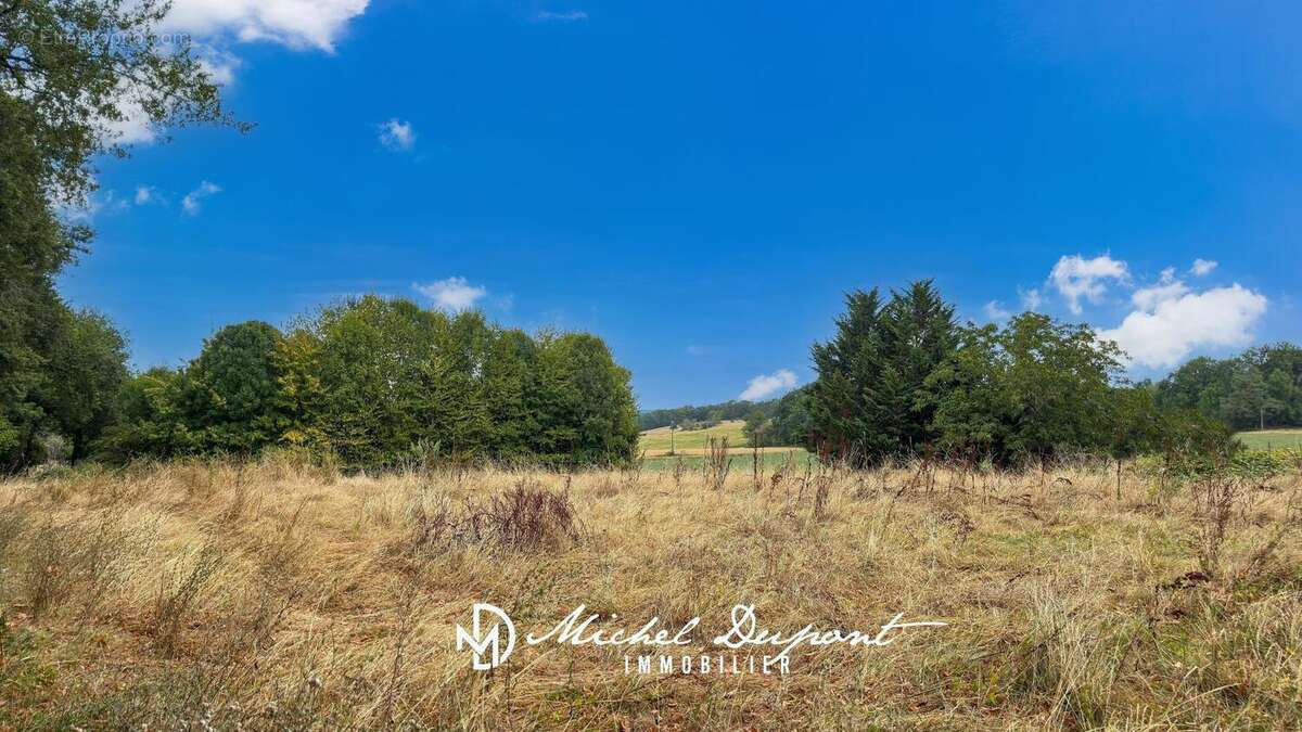 Terrain 2013 m² à Fleurac  - photo 2