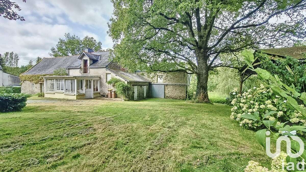 Photo 8 - Maison à ALLAIRE