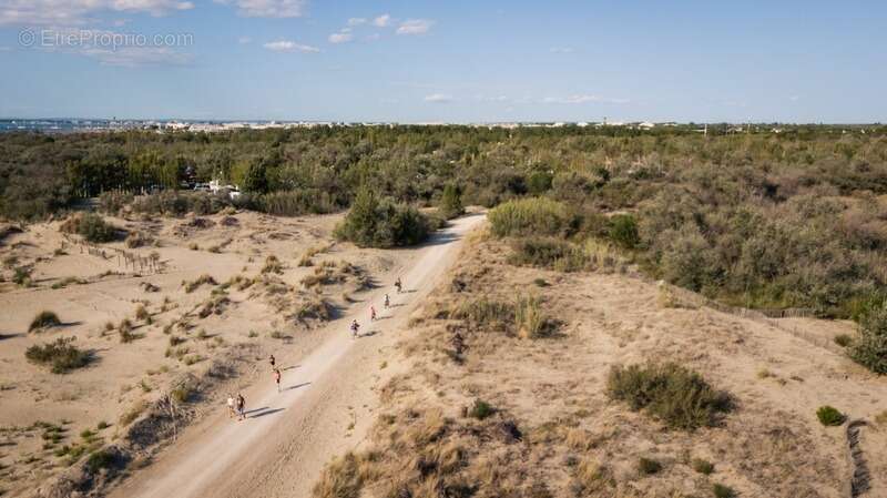 Commerce à LE GRAU-DU-ROI