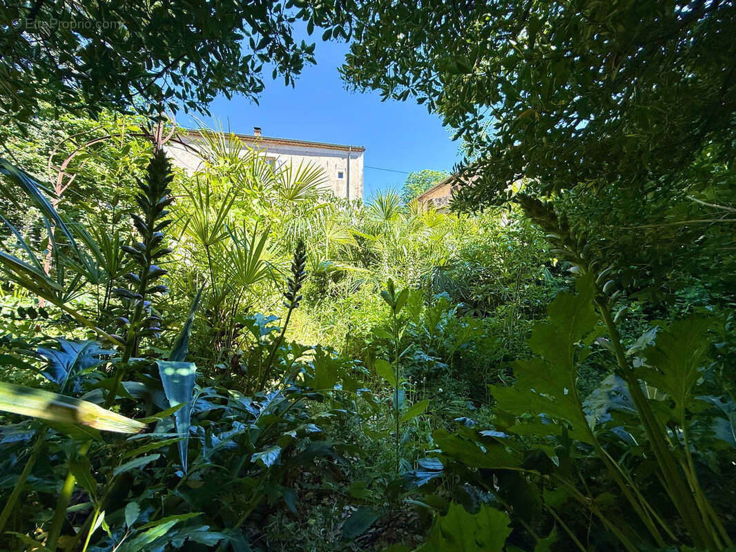 Maison à LODEVE