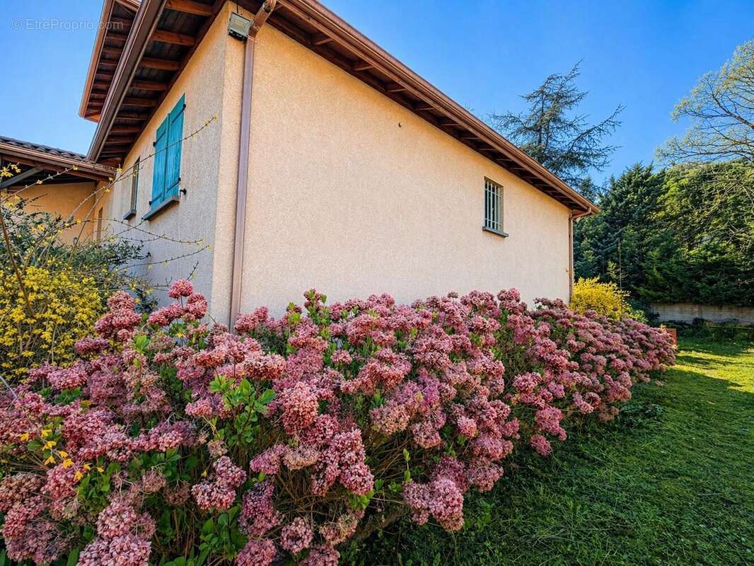 Maison à COLLONGES-AU-MONT-D'OR