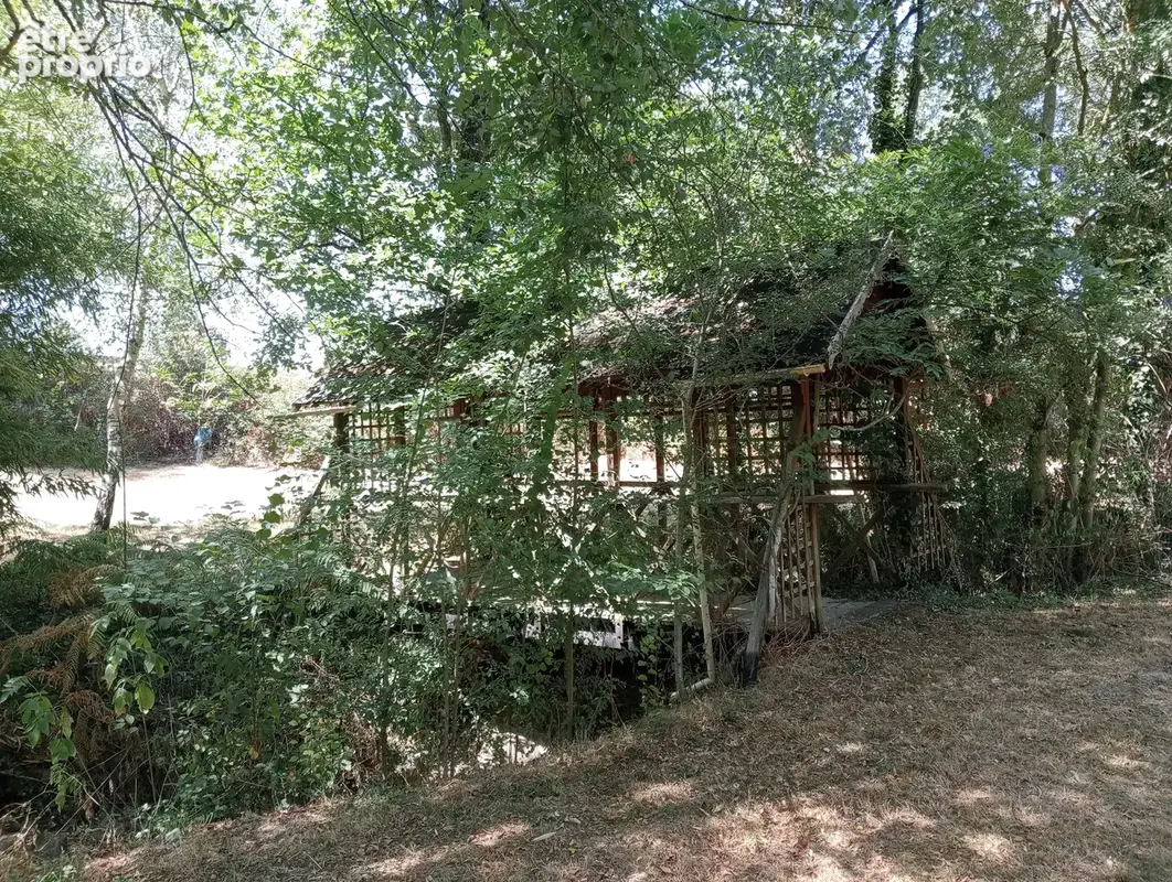 Ferme rénovée avec 4ha - photo 6
