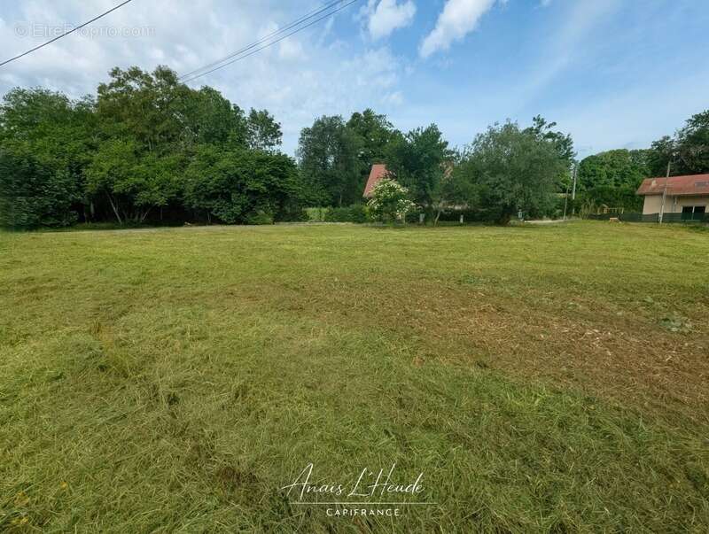 ARBUSIGNY - Terrain constructible 847 m² dans un environnement recherché - photo 5