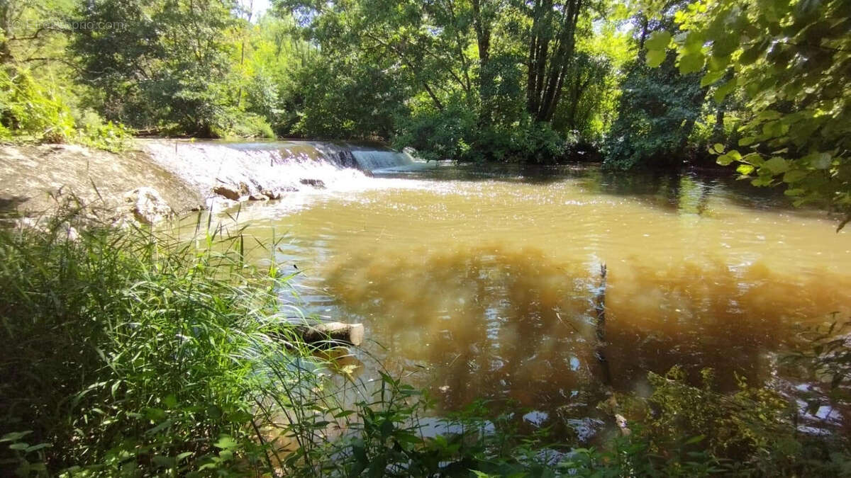 8 juillet 2026 - RIVER