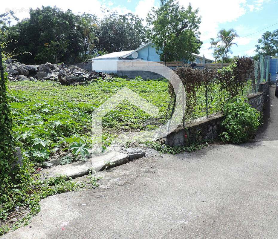 Terrain à LE TAMPON