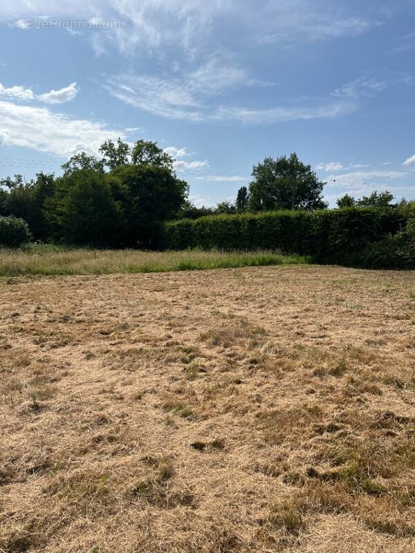Terrain à ANCINNES
