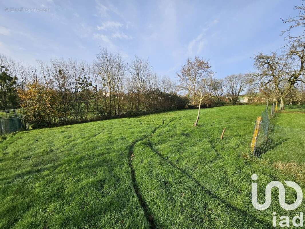 Photo 9 - Maison à CHAVAGNES-EN-PAILLERS