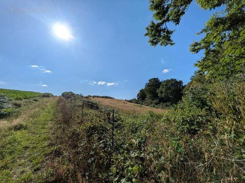 Séglien en campagne longère en pierre rénovée avec vie de plain pied de 243m², garage, atelier et dépendance parcelle de 7125m² - photo 25