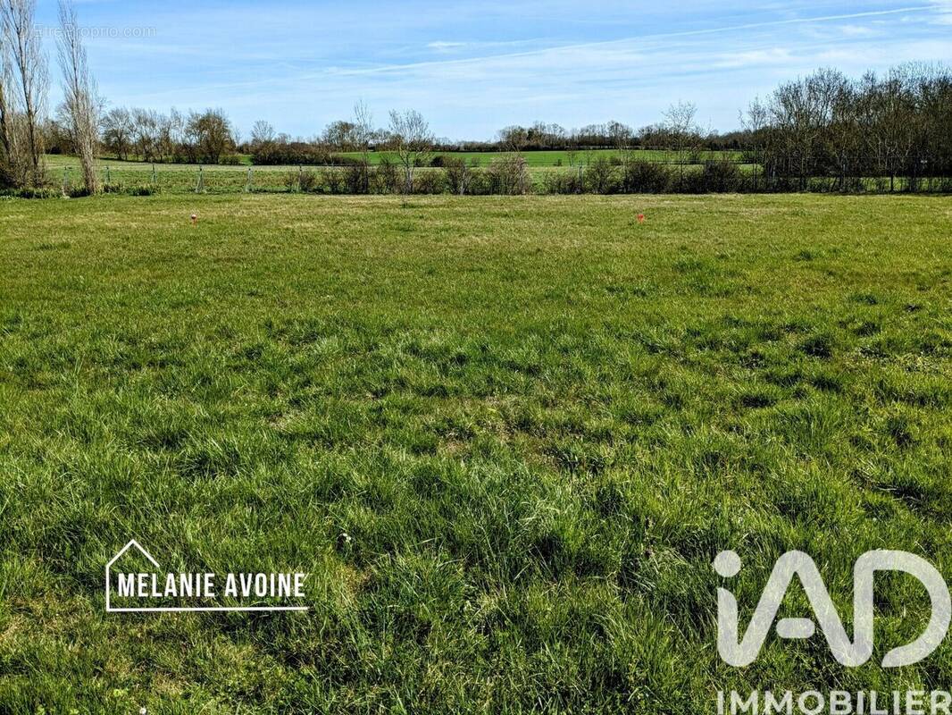 Photo 1 - Terrain à CIRE-D'AUNIS