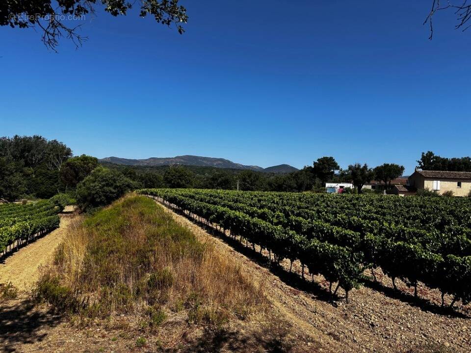 Terrain à SAINT-TROPEZ