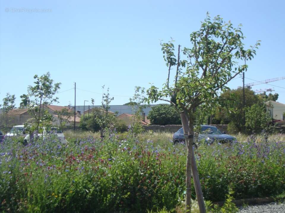 Terrain 255 m² à Hyeres  - photo 3