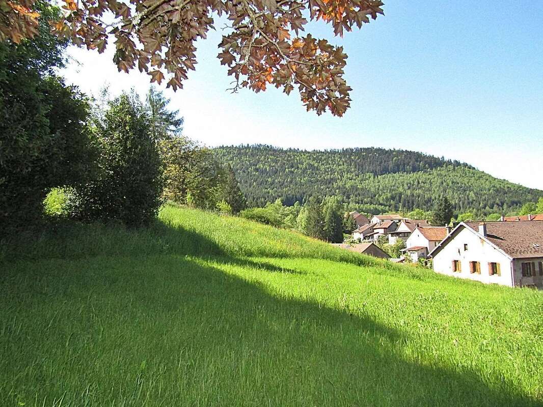 Maison à LUVIGNY