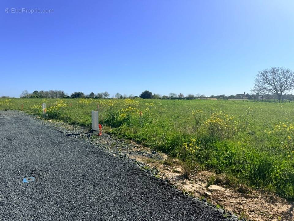 Terrain à CHAILLE-LES-MARAIS